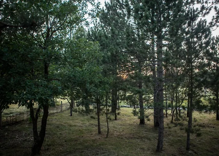 Vikendica Galiot 度假居 特雷比涅